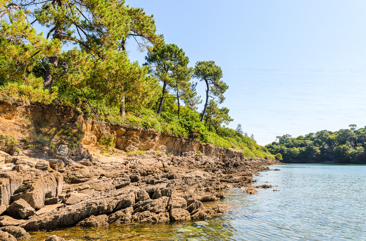 Côte rocheuse et arborée, idéale pour camper dans la sereine région du Finistère Sud, surplombant un plan d'eau calme sous un ciel bleu clair.