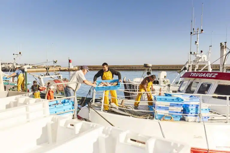 Fishermen, members of our Our Partnerships initiative, unload crates of fish from a boat in port under a clear blue sky.