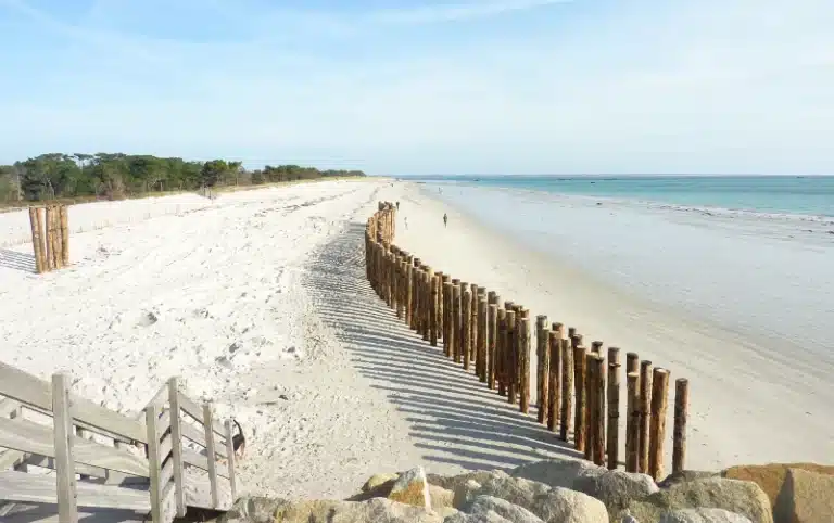 A sandy beach with wooden posts forming a barrier along the shore invites you to explore. In the distance, a few people stroll under a clear blue sky, enjoying a family adventure in beautiful South Finistère.