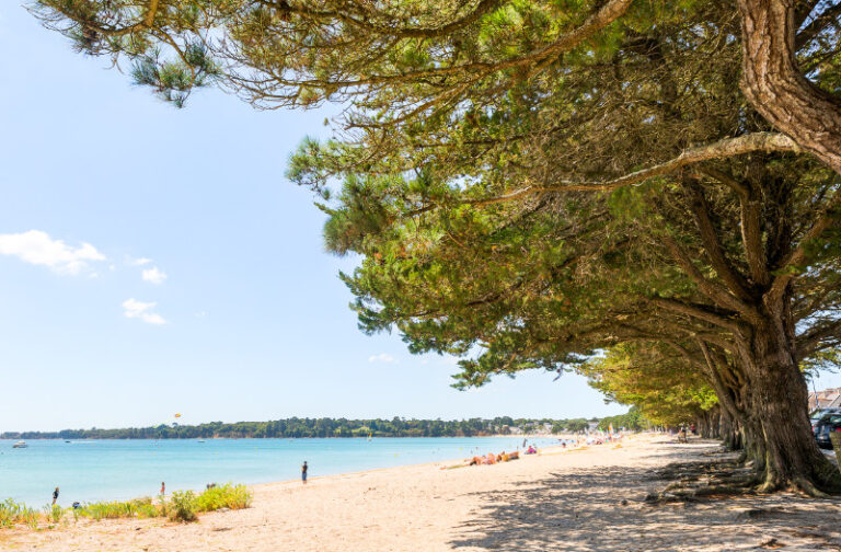 Ein sonniger Strand im Finistère mit Menschen, die spazieren gehen und sich im Sand sonnen. Hohe Bäume spenden Schatten am Ufer, während das ruhige Wasser unter einem klaren blauen Himmel glitzert, was den Strand zu einem perfekten Ort für ruhesuchende Campingfreunde macht.