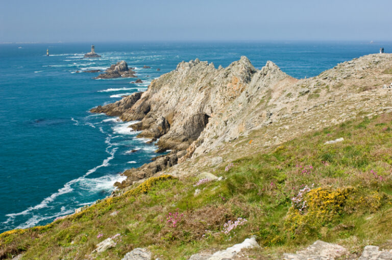La Pointe du Raz présente un littoral rocheux avec des falaises déchiquetées surplombant un océan bleu calme. Une végétation clairsemée et des fleurs sauvages couvrent le paysage herbeux sous un ciel clair, créant une scène sereine mais spectaculaire au bord de la mer.