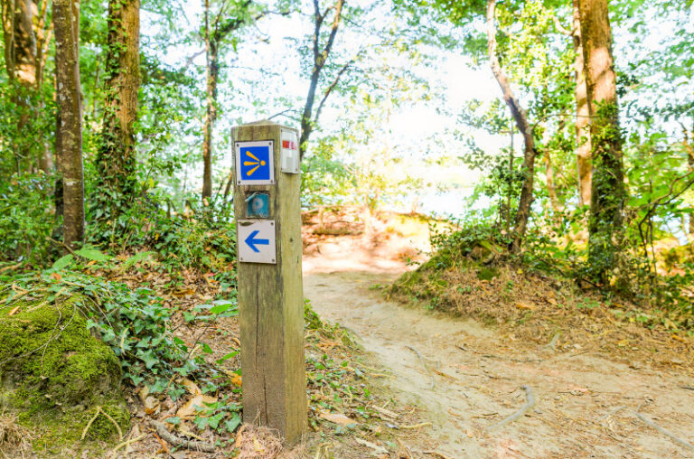 A wooden signpost with blue and white arrows is set amongst the trees, guiding adventurers through a tranquil forest trail in Finistère. Ideal for those camping in the South, it promises an escape into the heart of nature.
